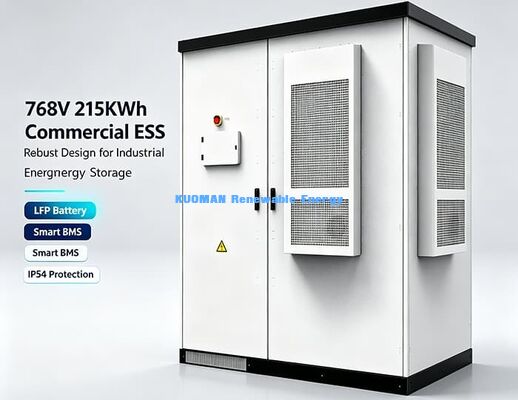 768V 215kWh 마이크로그리드 에너지 저장 시스템 | 견고한 야외 캐비닛 LiFePO4 배터리 ESS