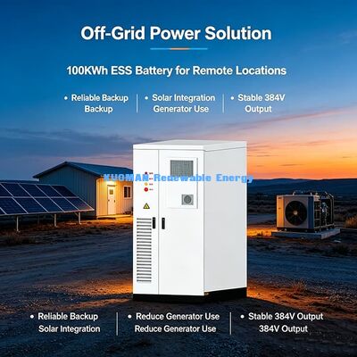 지능형 EMS 100KWh 상업용 ESS 배터리 캐비닛 원격 모니터링 태양 에너지 저장 시스템