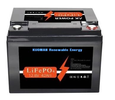537.6Wh 12V 40Ah 리튬 배터리 딥사이클 LiFePO4 배터리 (에너지 저장 및 골프 카트용)