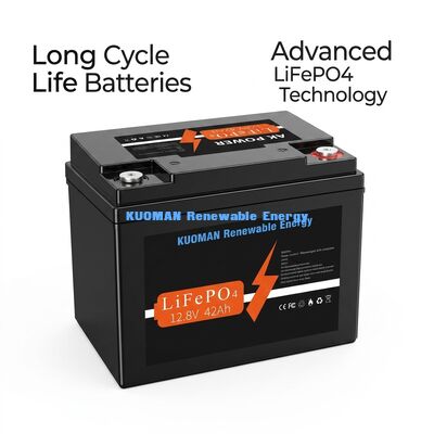 537.6Wh 12V 40Ah 리튬 배터리 딥사이클 LiFePO4 배터리 (에너지 저장 및 골프 카트용)