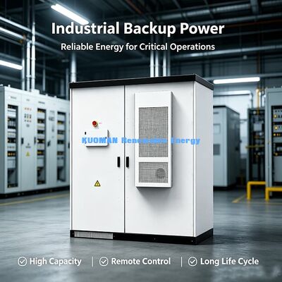 768V 215kWh 마이크로그리드 에너지 저장 시스템 | 견고한 야외 캐비닛 LiFePO4 배터리 ESS