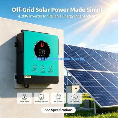 24V 배터리 하이브리드 태양 전지 인버터 4200W 전력망이 연결되지 않은 전력망 가정용 태양 시스템