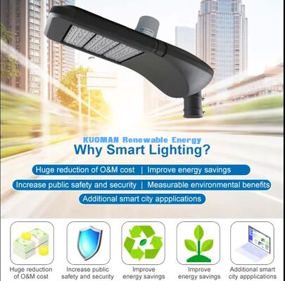 방수 IP65 LoRaWAN 스마트 가로등, 낙뢰 보호, 혹독한 실외 환경 사용