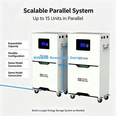 51.2V 100Ah 태양 저장장치 LiFePO4 배터리, 최대 100A 연속 충전/폐하
